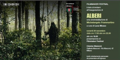 Alberi di Frammartino a Milano