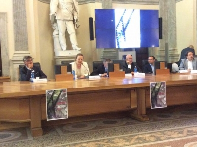 Mercato del Cinema, rapporto 2013